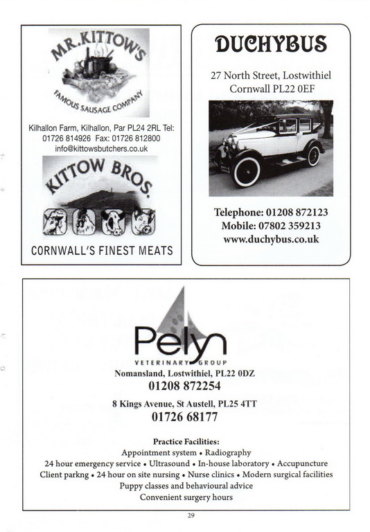 2013 Lostwithiel Carnival Programme Page 29